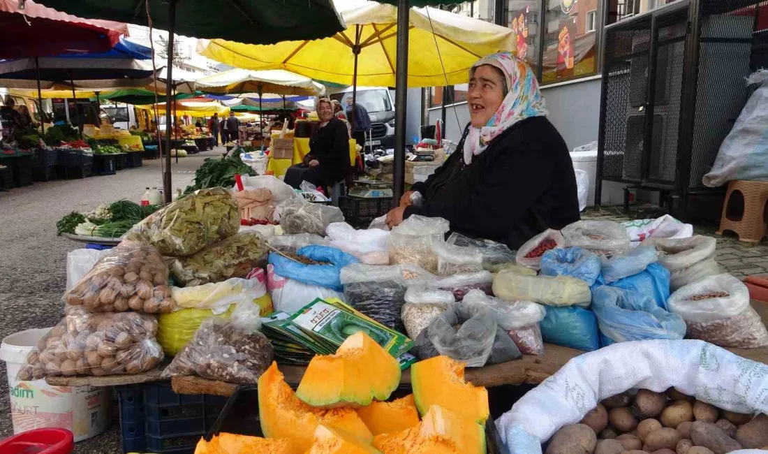 GİRESUN’UN MERKEZE BAĞLI KÖYLERİNDE