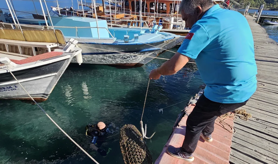 GÖKOVA KÖRFEZİ’NDE YASA DIŞI