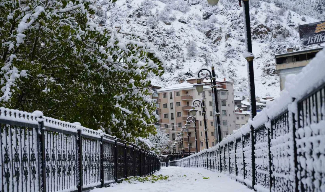 GÜMÜŞHANE’DE DÜN SABAH SAATLERİNDE