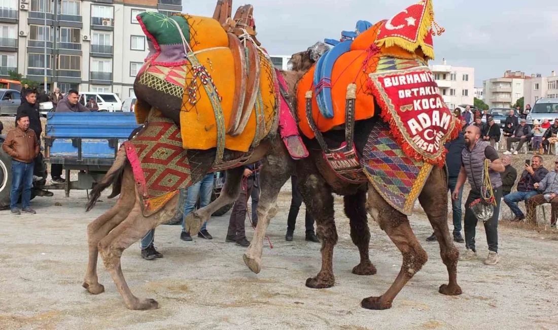 BURHANİYE İLÇESİNDE, BURHANİYE DEVECİLER