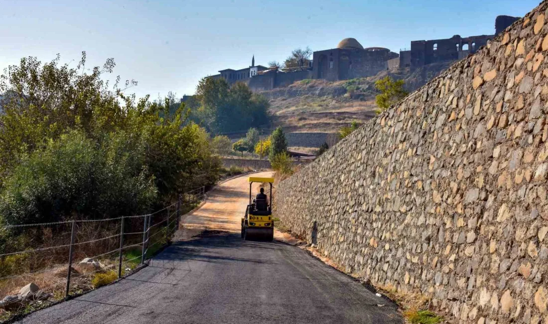 DİYARBAKIR BÜYÜKŞEHİR BELEDİYESİ, UNESCO