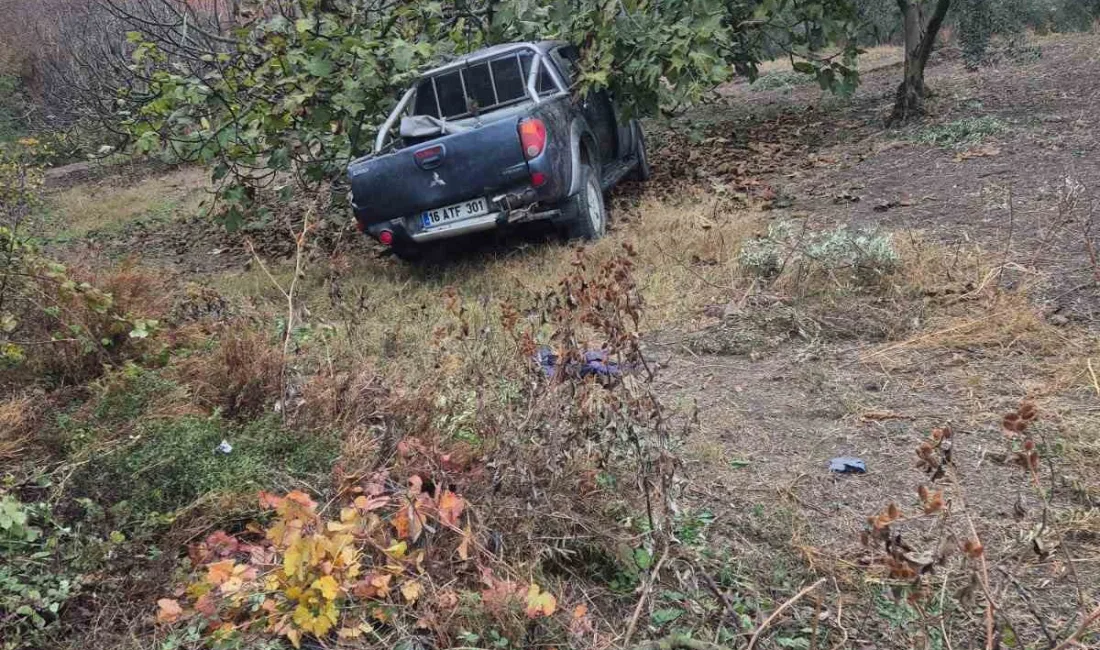 BURSA'NIN MUDANYA İLÇESİNDE MEVSİMLİK