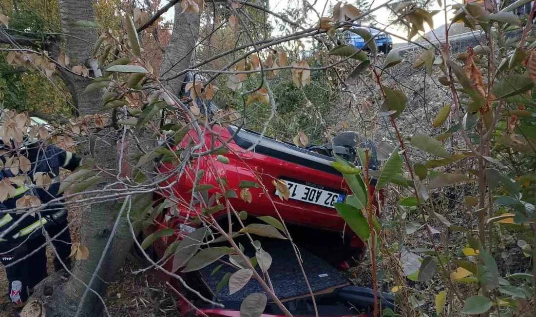 ISPARTA'DA SÜRÜCÜSÜNÜN KONTROLÜNDEN ÇIKAN