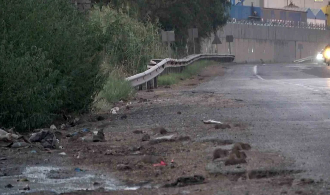 HATAY'DA ARAÇLARDAN DÖKÜLEN TAHILLARLA