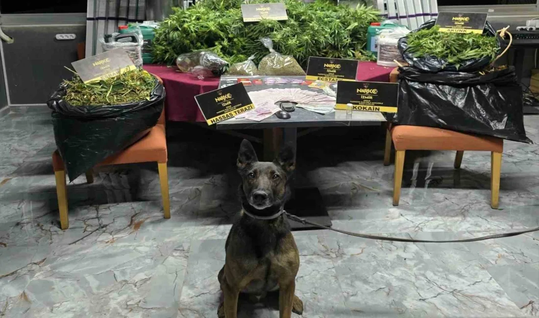 İZMİR'DE NARKOTİK KÖPEĞİ 'REX'İN