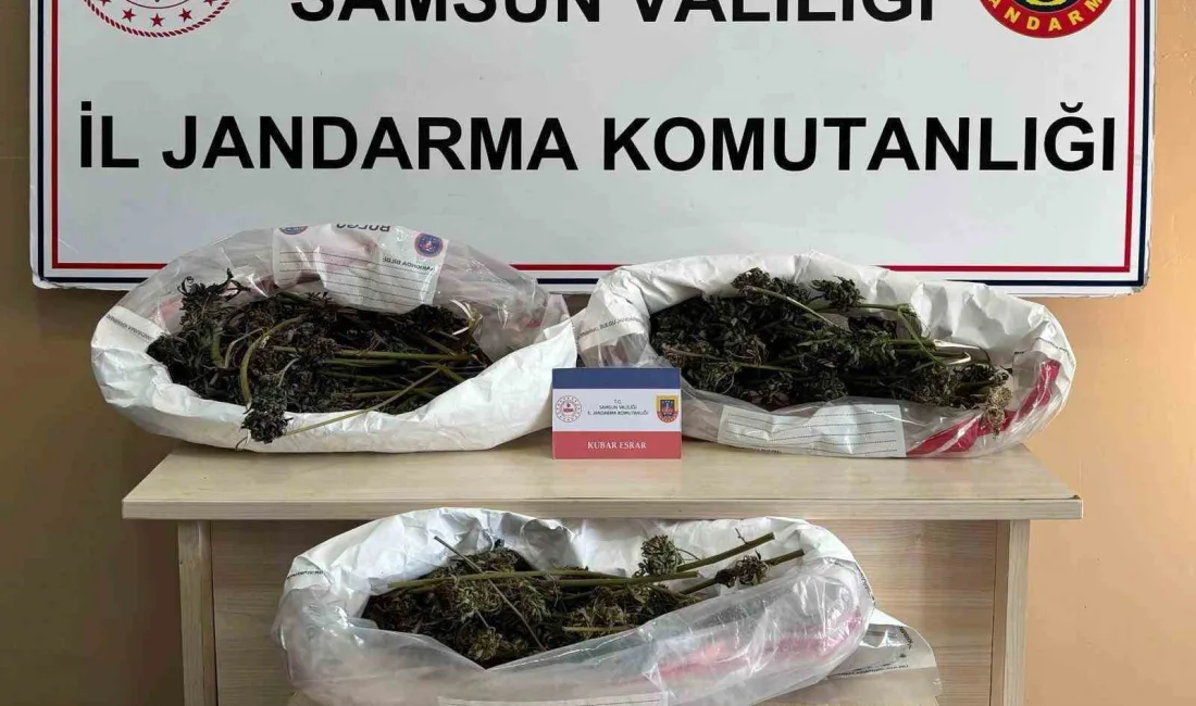 SAMSUN'DA 627 GRAM KUBAR