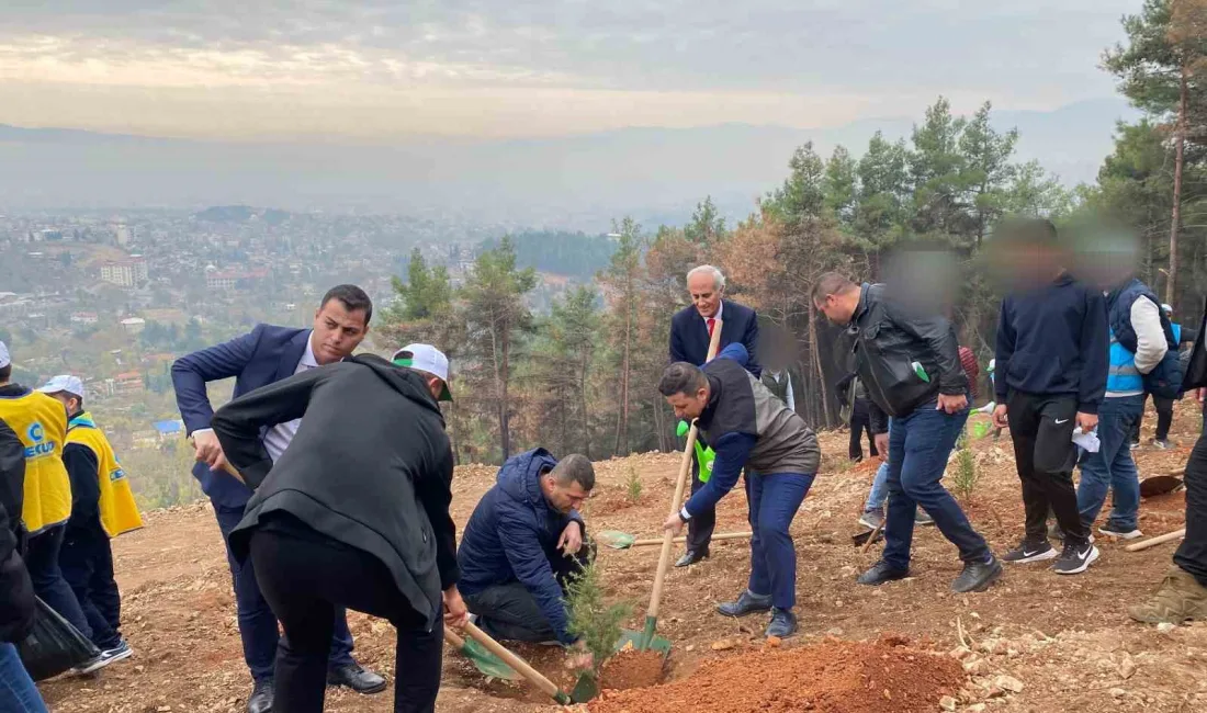 KAHRAMANMARAŞ DENETİMLİ SERBESTLİK MÜDÜRLÜĞÜ,