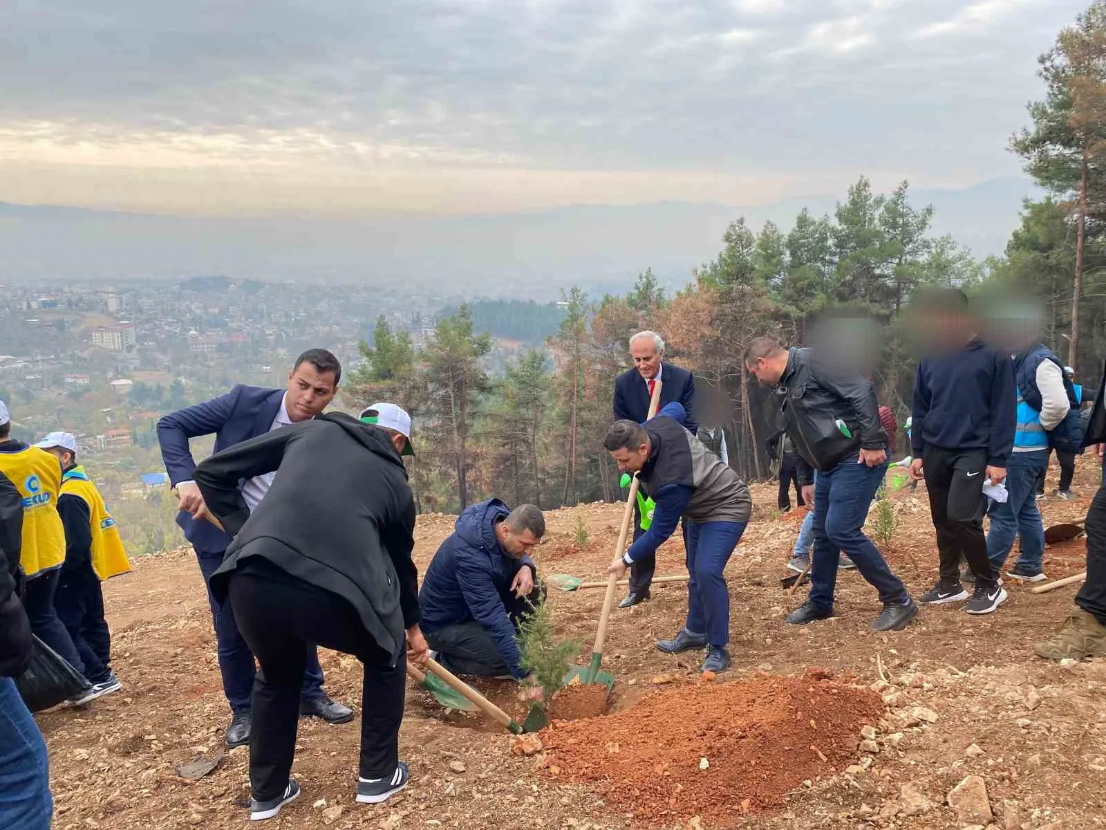 Kahramanmaraş’ta denetimli hükümlüler fidan dikti