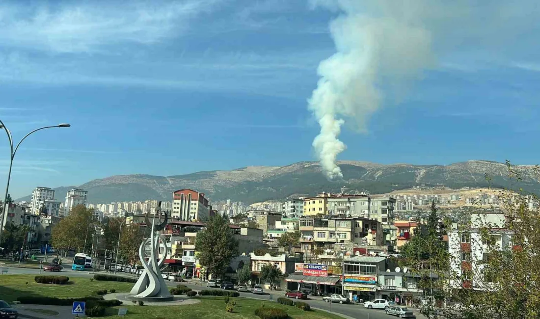 KAHRAMANMARAŞ'TA ÇIKAN ORMAN YANGININA