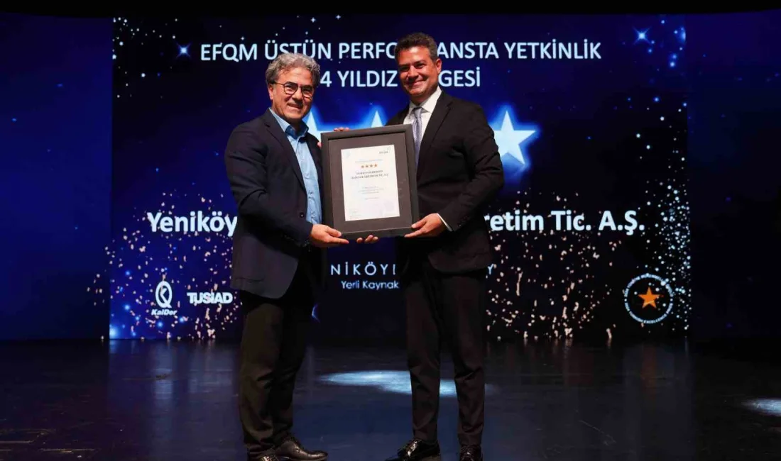 YENİKÖY KEMERKÖY ENERJİ, TÜRKİYE