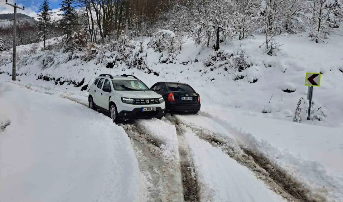 SAKARYA BÜYÜKŞEHİR BELEDİYESİ, YAKLAŞIK