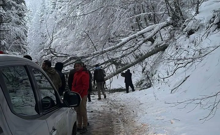 BOLU’NUN DOĞA HARİKASI GÖLCÜK