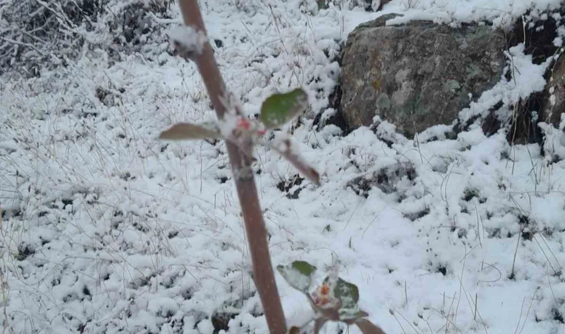 HAKKARİ’DE KAR YAĞIŞINA RAĞMEN