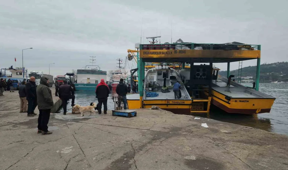 ZONGULDAK'IN EREĞLİ İLÇESİNDE FABRİKALARA