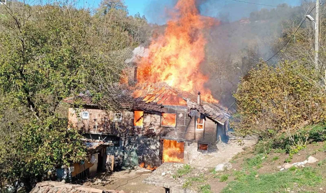 ZONGULDAK'IN EREĞLİ İLÇESİNDE İKİ