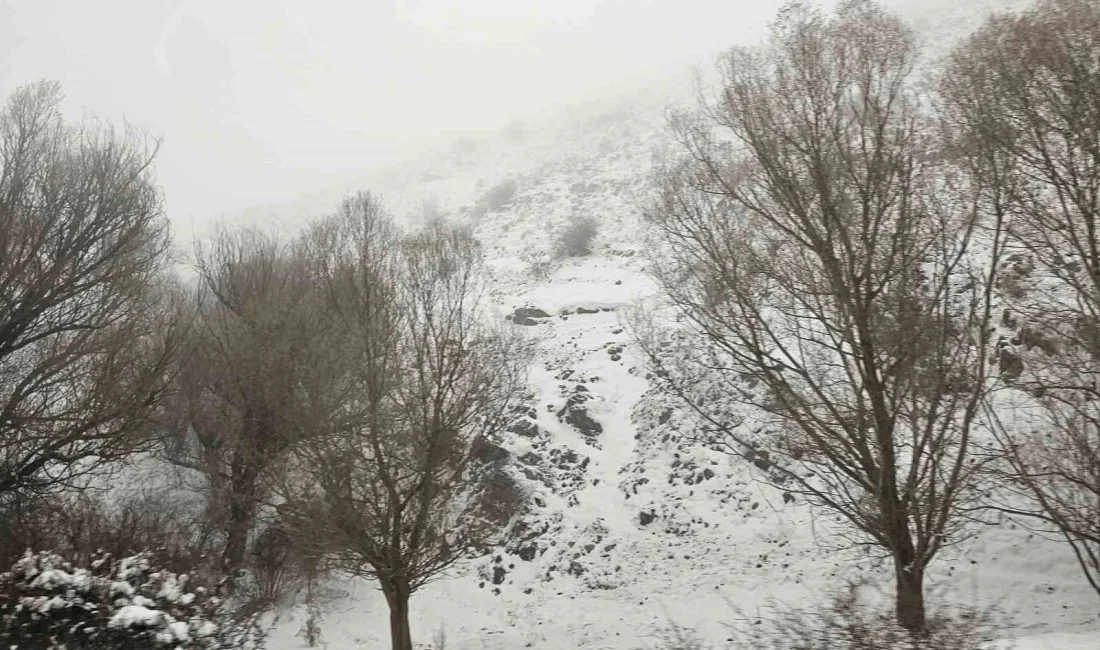 ESKİŞEHİR’DE SOĞUK HAVA VE