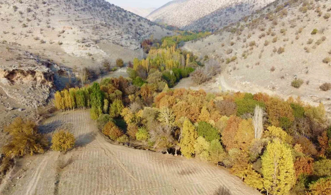 MARDİN'İN MAZIDAĞI İLÇESİNDEKİ KARASU