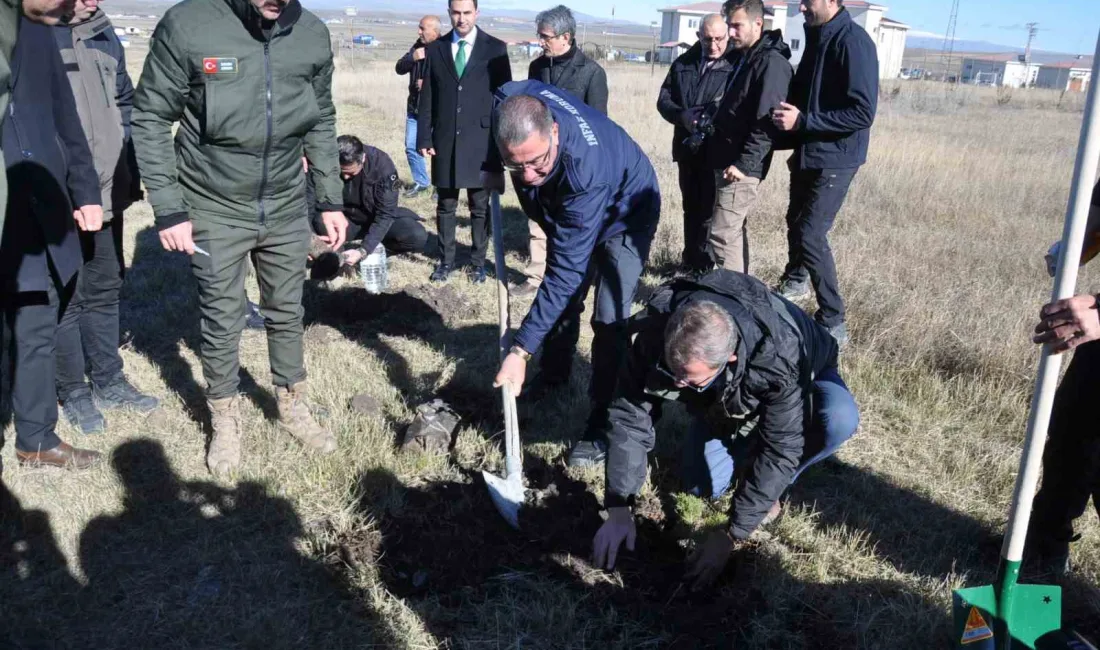 KARS'TA FİDANLAR TOPRAKLA BULUŞTU.