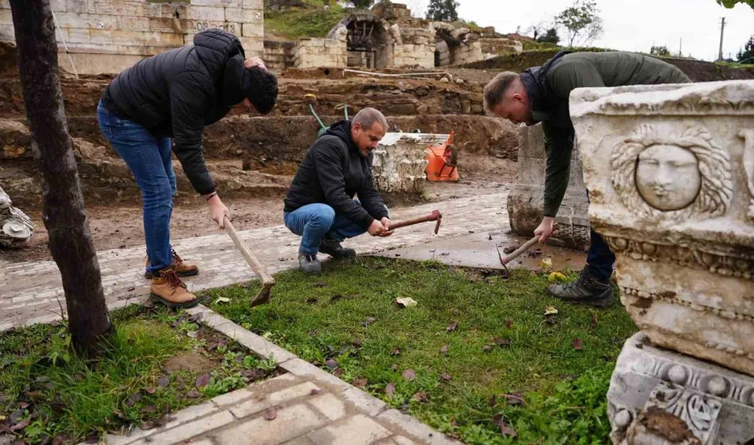 BATI KARADENİZ BÖLGESİNİN TEK