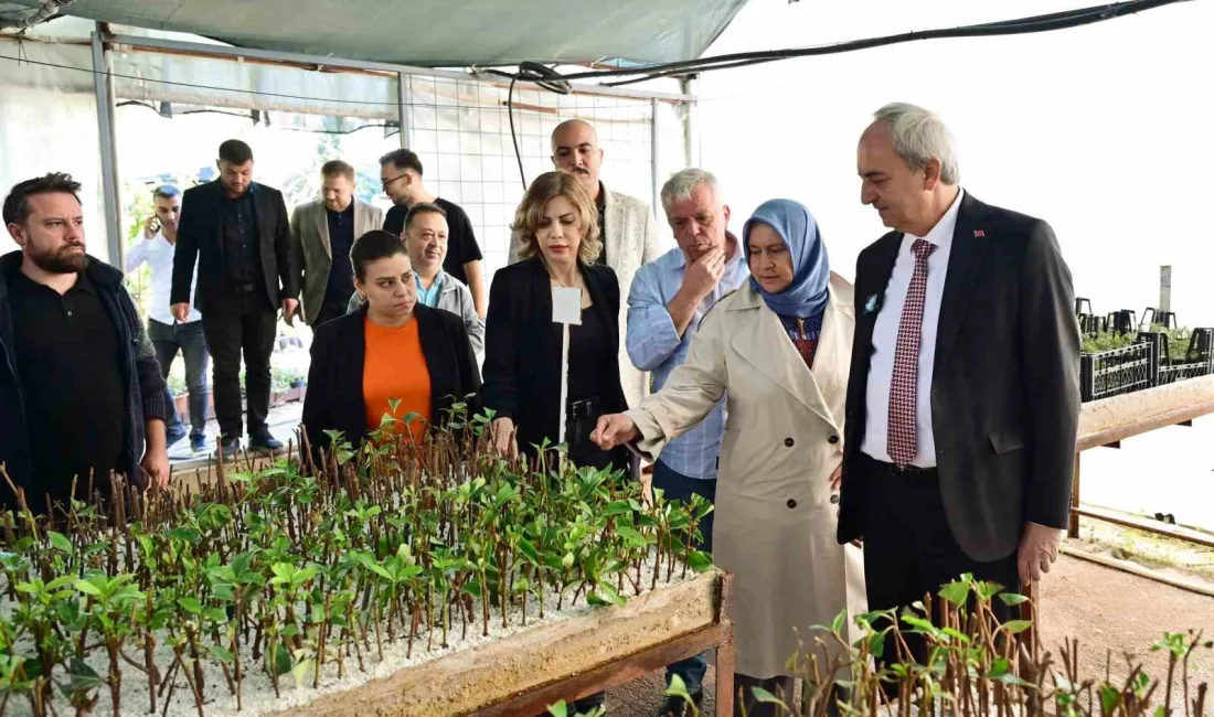 ANTALYA'NIN KEPEZ İLÇESİ BELEDİYE