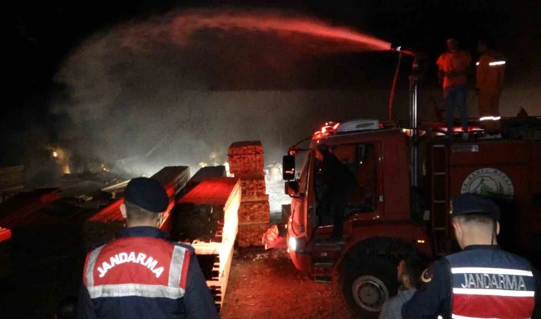 ANTALYA'NIN MANAVGAT İLÇESİNDE ORMANLIK