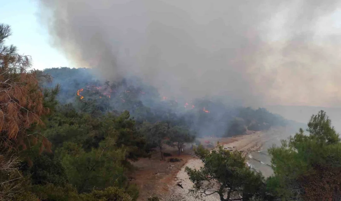 KEŞAN’DA ORMANLIK ALANDA ÇIKAN