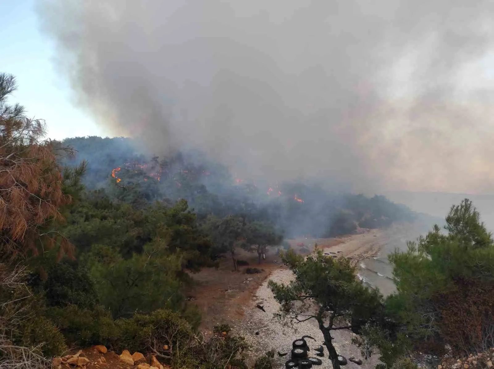 Keşan’da ormanlık alanda çıkan yangın kontrol altına alındı