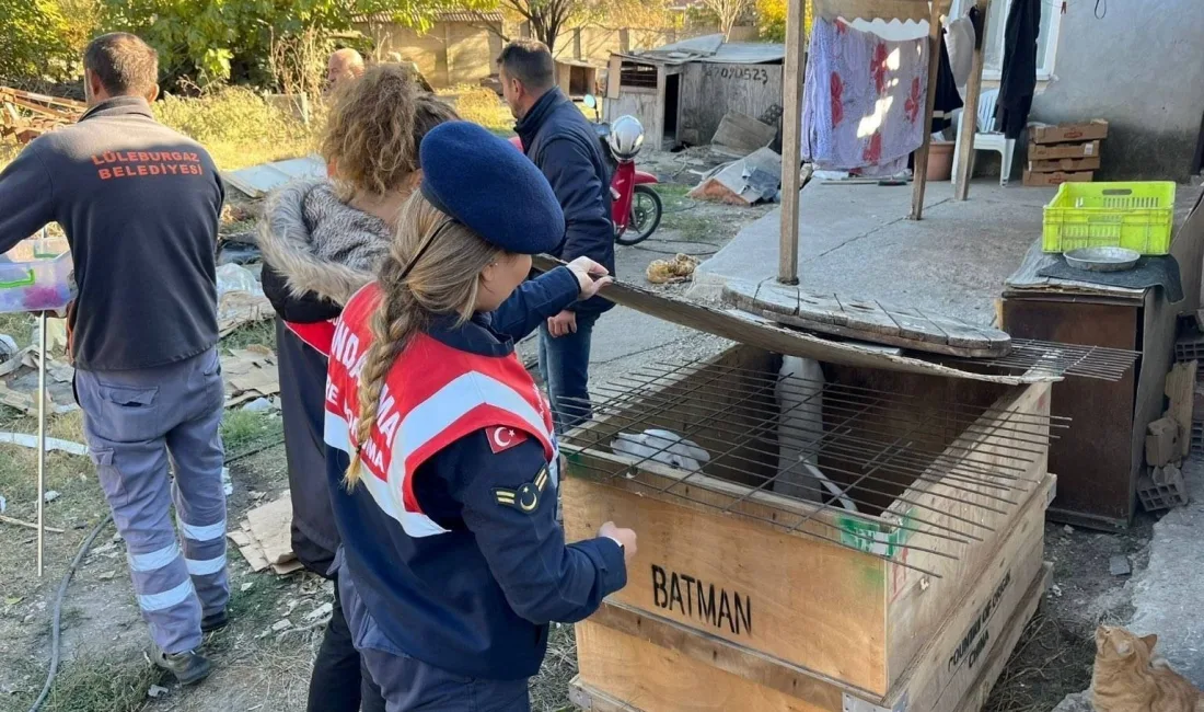 KIRKLARELİ’NDE YASAKLI IRK KÖPEK