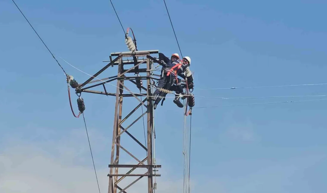 VANGÖLÜ ELEKTRİK DAĞITIM A.Ş.