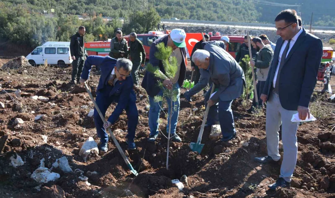 MİLLİ AĞAÇLANDIRMA GÜNÜ KAPSAMINDA