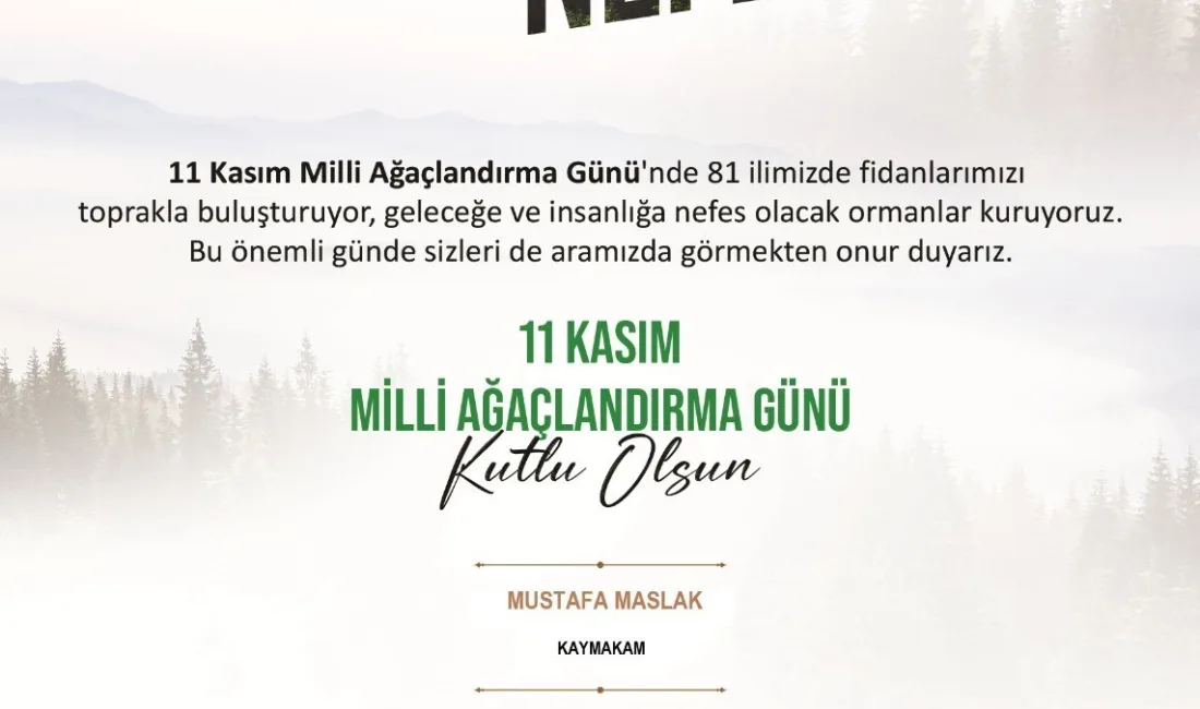 MUĞLA’NIN KÖYCEĞİZ İLÇESİNDE TÜM