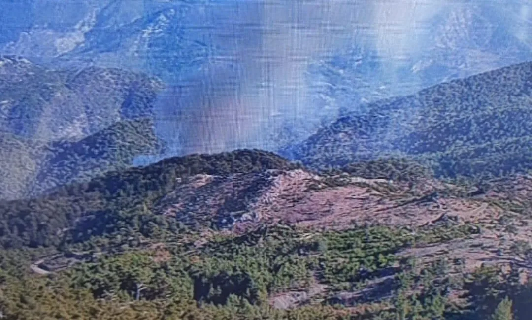 KÖYCEĞİZ'DE ORMAN YANGINI DEVAM