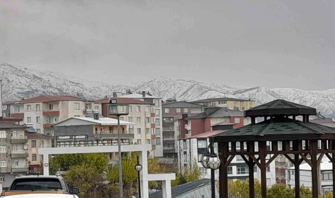 DİYARBAKIR’IN KULP İLÇESİNDE MEVSİMİN