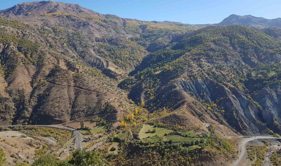 DİYARBAKIR'IN KULP İLÇESİNDE SONBAHAR