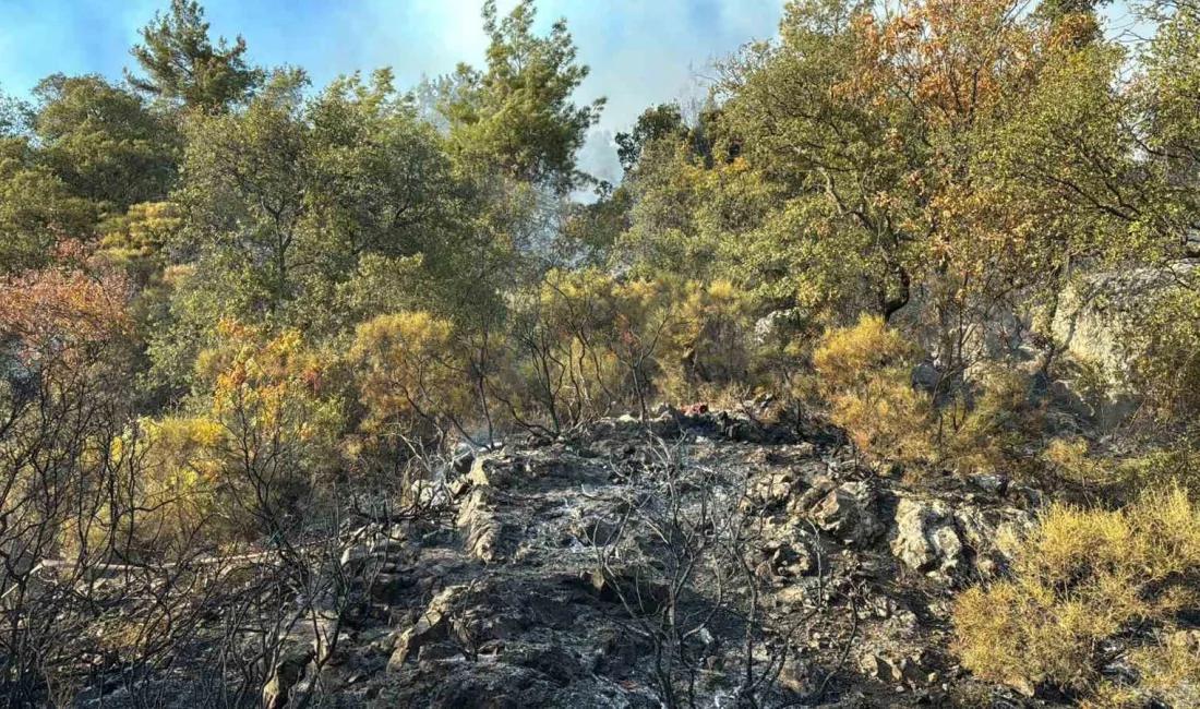 ANTALYA'NIN KUMLUCA İLÇESİNDE BULUNAN