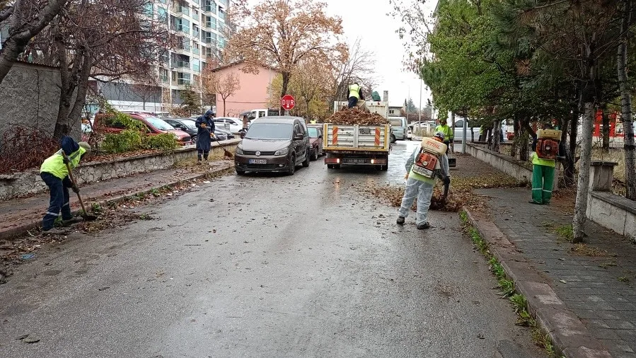 KÜTAHYA’DA SONBAHAR TEMİZLİĞİ, BELEDİYE