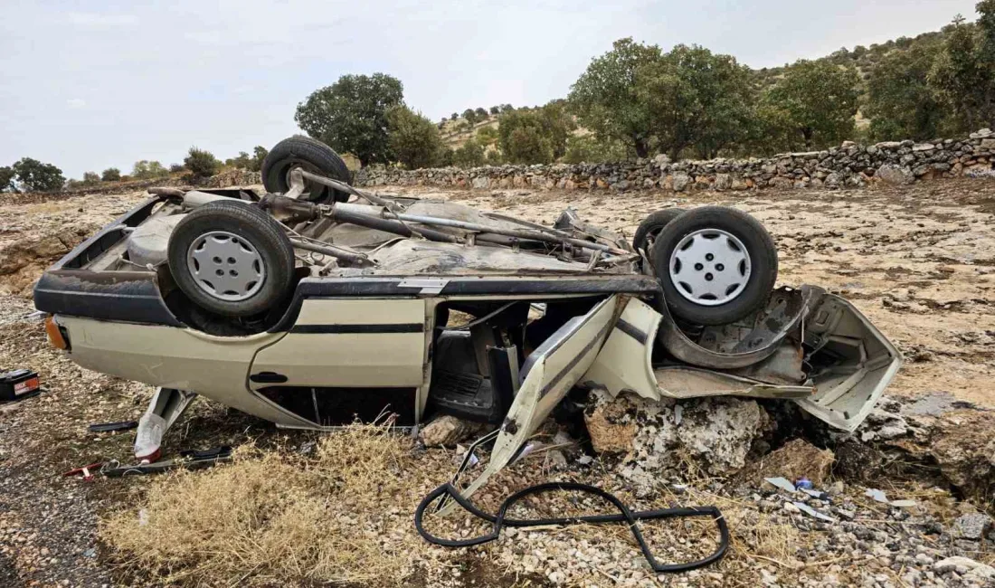 MARDİN’İN NUSAYBİN İLÇESİNDE SÜRÜCÜSÜNÜN