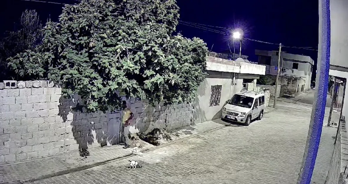 Mardin’de tavuk hırsızlığı güvenlik kamerasına yansıdı