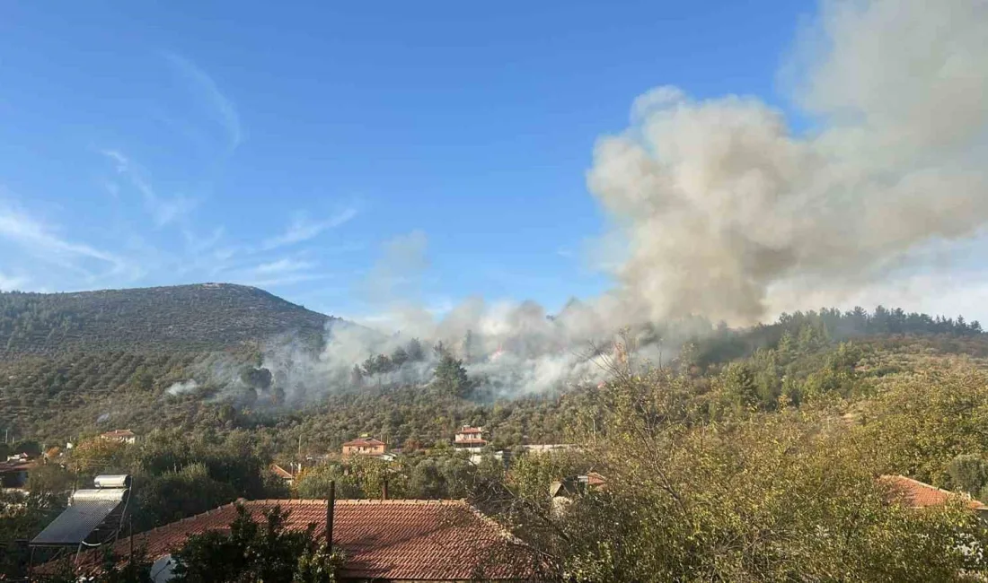 MUĞLA'NIN MENTEŞE İLÇESİNDE ÇIKAN