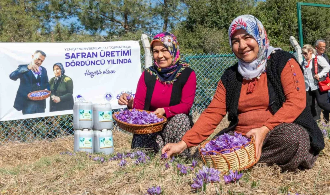 MERSİN'İN MERKEZ İLÇE YENİŞEHİR