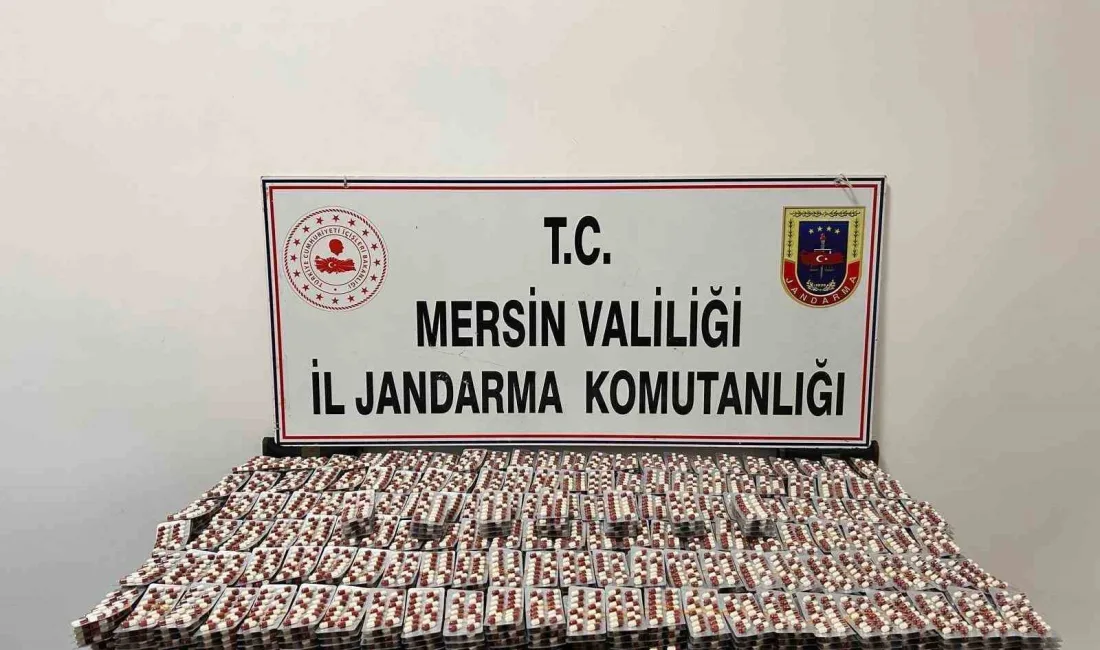 MERSİN'DE JANDARMA EKİPLERİNİN DÜZENLEDİĞİ