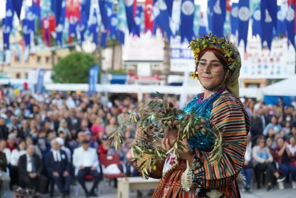 Milas’ta zeytin hasat şenliği için geri sayım başladı