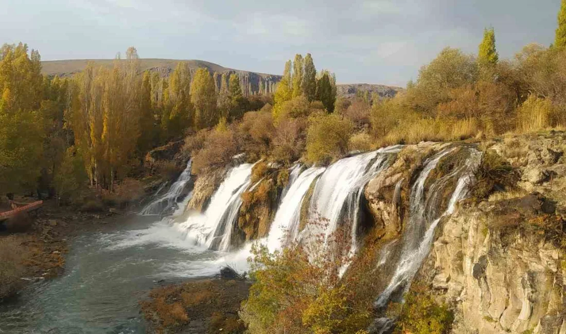 VAN’IN MURADİYE İLÇESİNDE BULUNAN