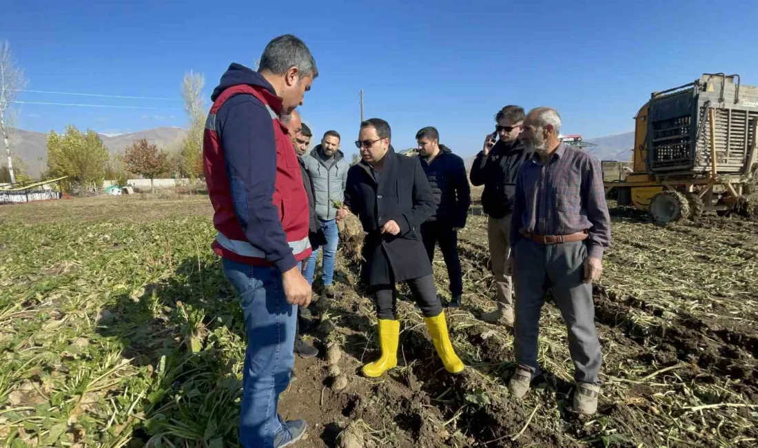 ŞEKER PANCARI HASADI