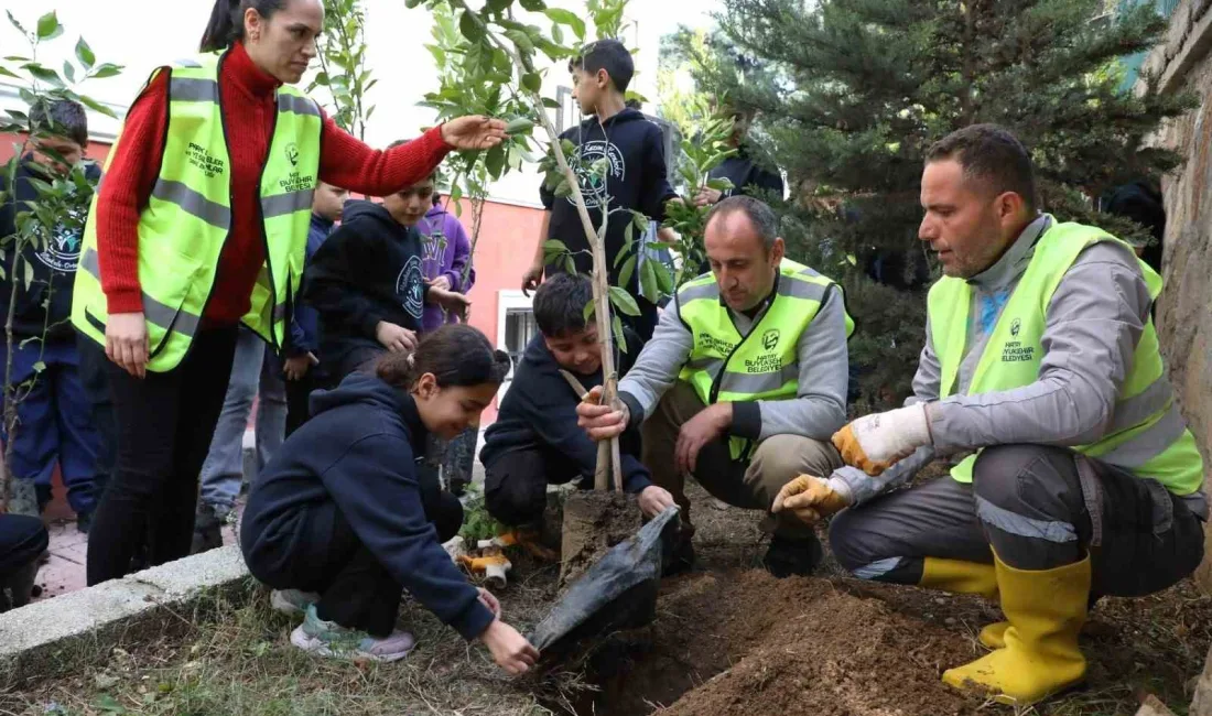 HATAY’DA BÜYÜKŞEHİR BELEDİYESİ TARAFINDAN