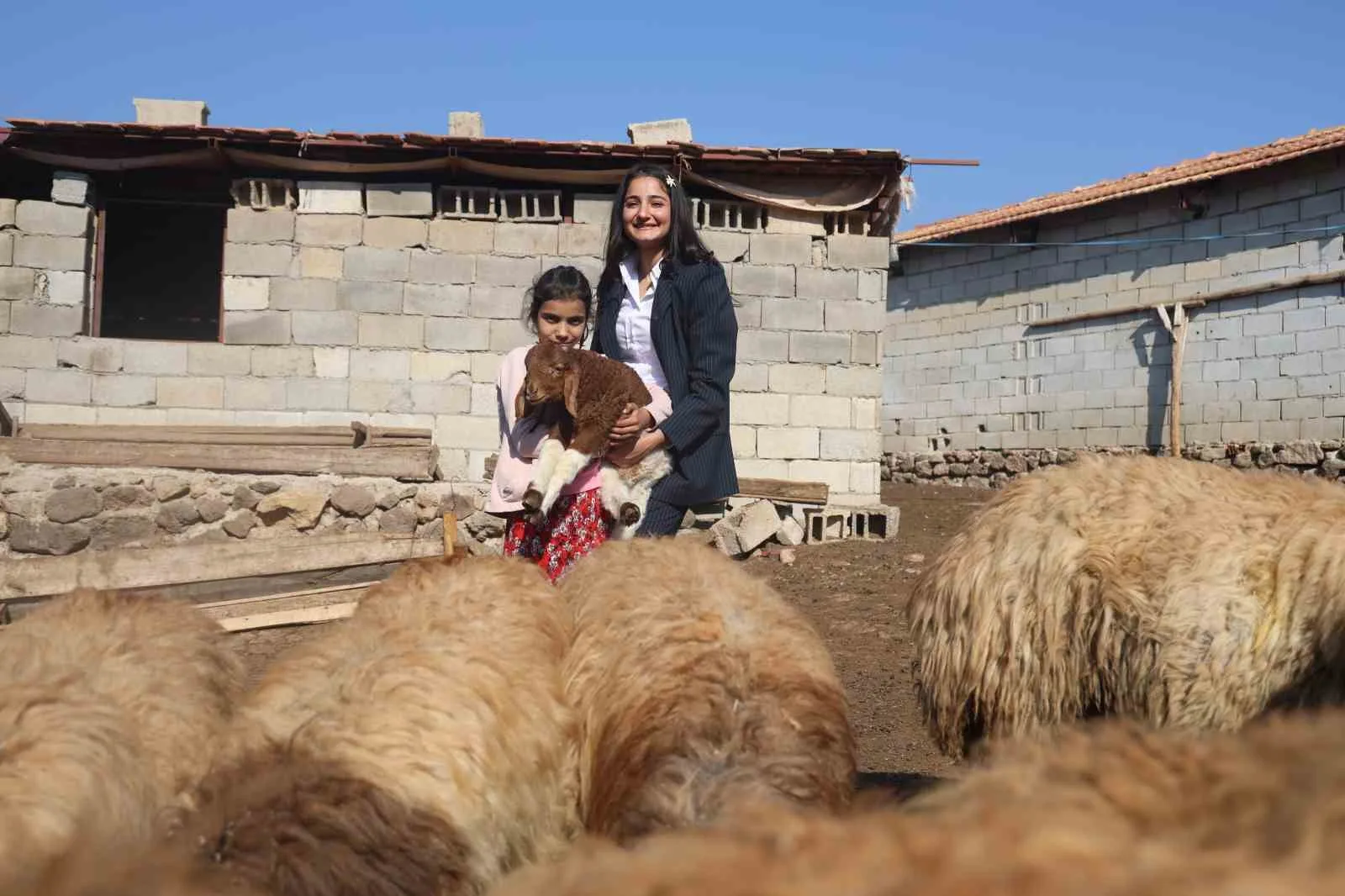 Öğrencilerine ödev olarak inek sağdıran ve kuzuları besleten Melahat öğretmenin öğrencilerinin 10 parmağında 10 marifet