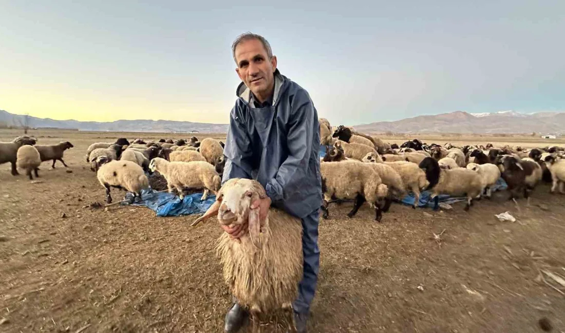 HAKKARİ’NİN YÜKSEKOVA İLÇESİNDE YAŞAYAN