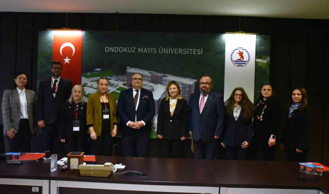 ONDOKUZ MAYIS ÜNİVERSİTESİ (OMÜ)