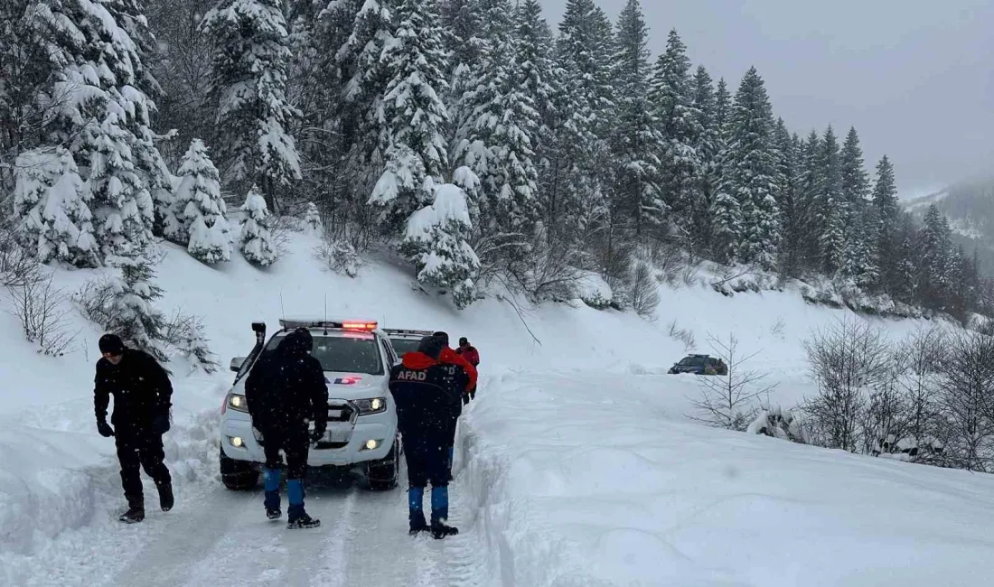 ORDU'DA AVLANMAK İÇİN YAYLAYA