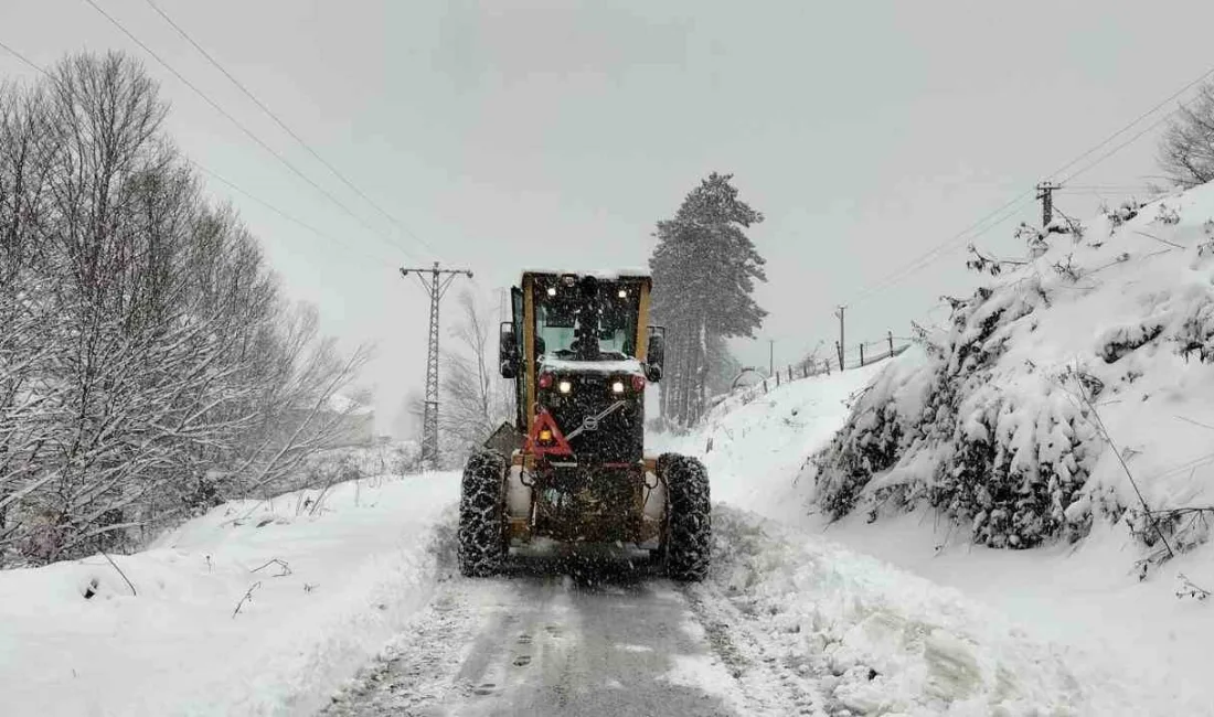 ORDU'DA GECE SAATLERİNDE BAŞLAYAN